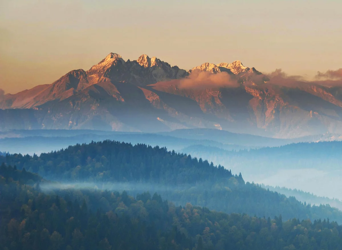 Jak złożyć sprawozdanie BDO z przyjemnością?