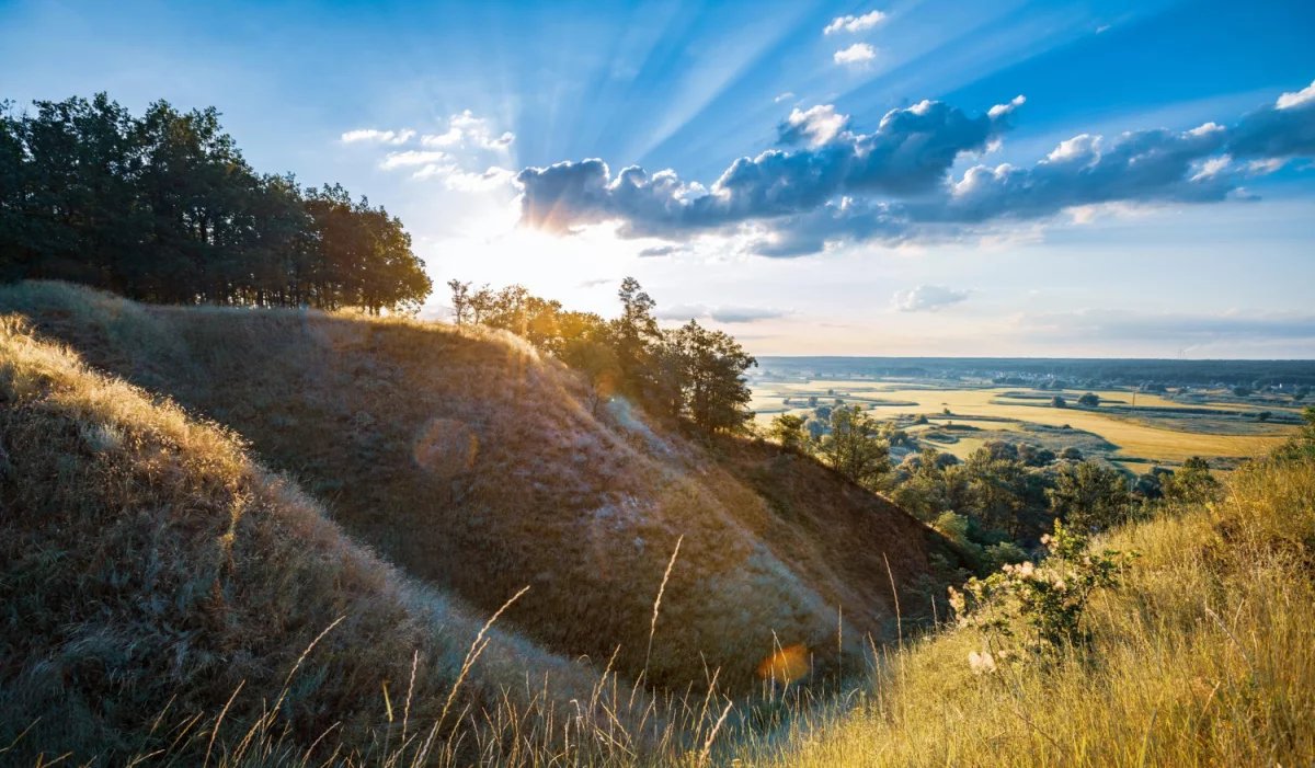 A Co Jeśli Mógłbyś znaleźć ciekawe informacje Już Za 6 Dni?