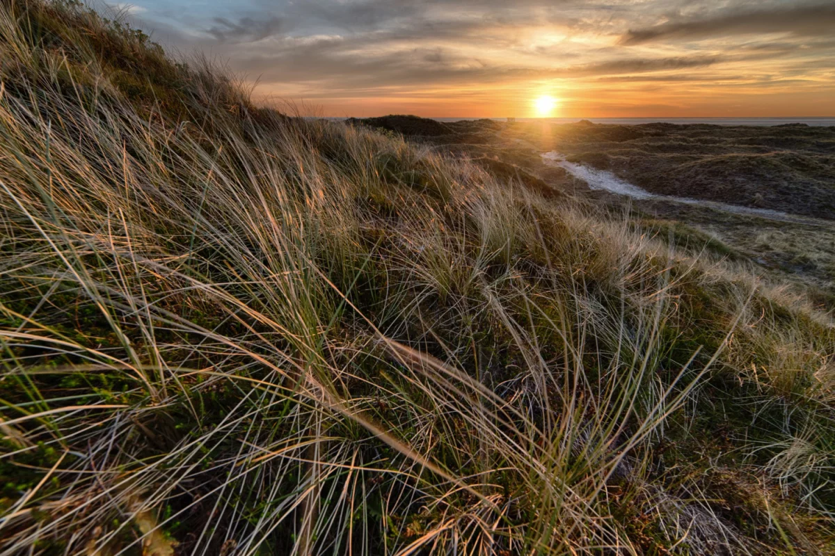 2021 najlepszym okresem aby  kupić samochód