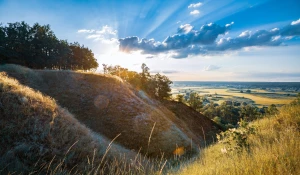 oddać elektrośmieci profesjonalnie?