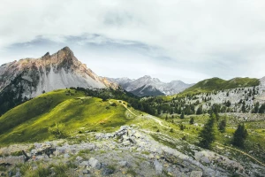 Czy da się w 2023  kupić części?